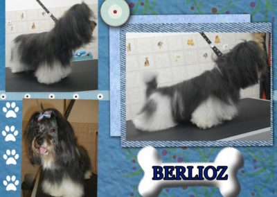 Berlioz